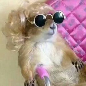 Meet your Posher, Martha